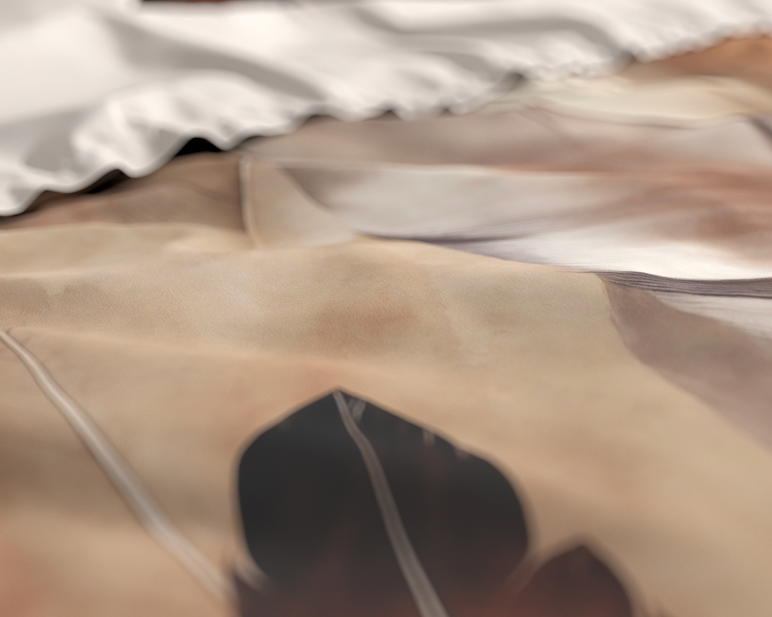 Detail dekbedovertrek Feathers Detail dekbedovertrek Feathers