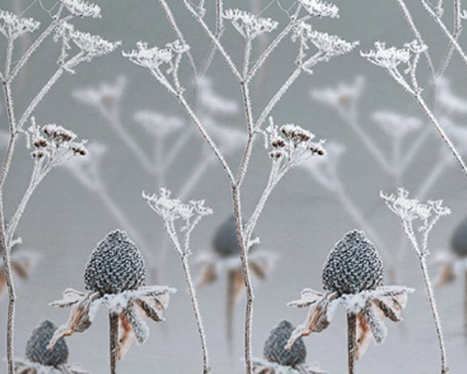 Dekbedovertrek Bevroren bloemen detail Dekbedovertrek Bevroren bloemen detail