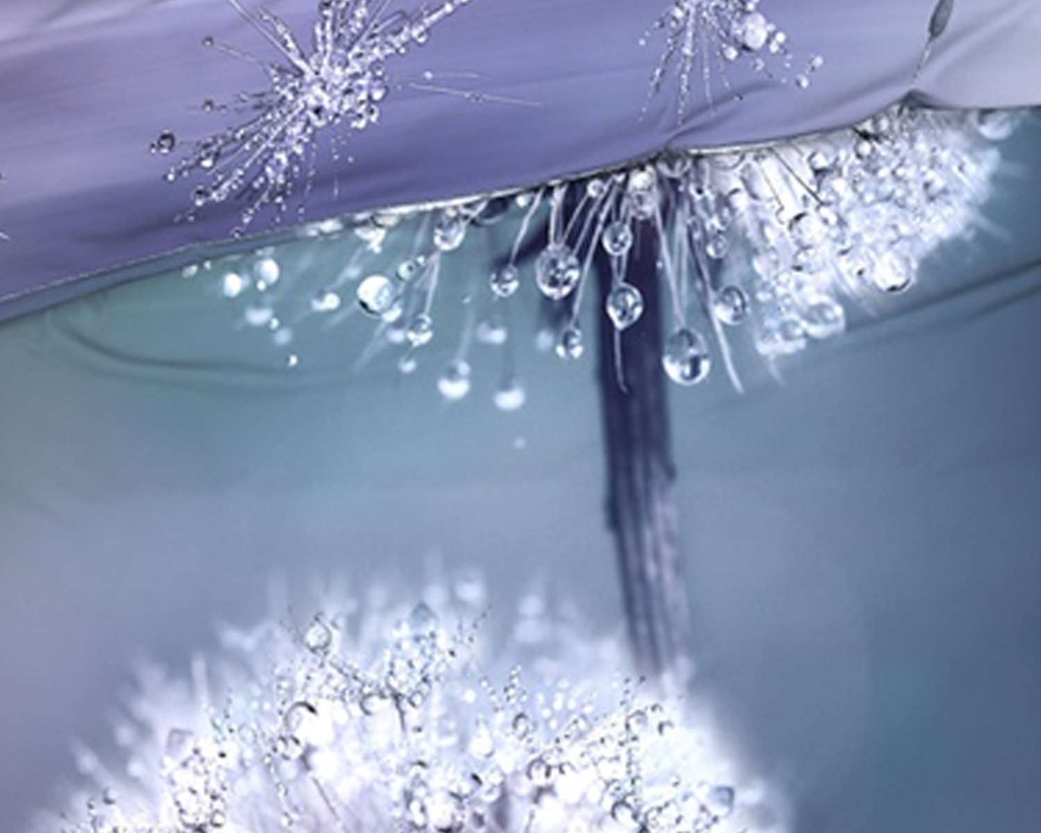 Dekbedovertrek Paardebloem in de dauw detail Dekbedovertrek Paardebloem in de dauw detail